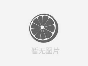【人人讲安全，个个会应急——畅通生命通道 】河南鸿宸积极参加安阳市2024年“安全宣传咨询日”活动