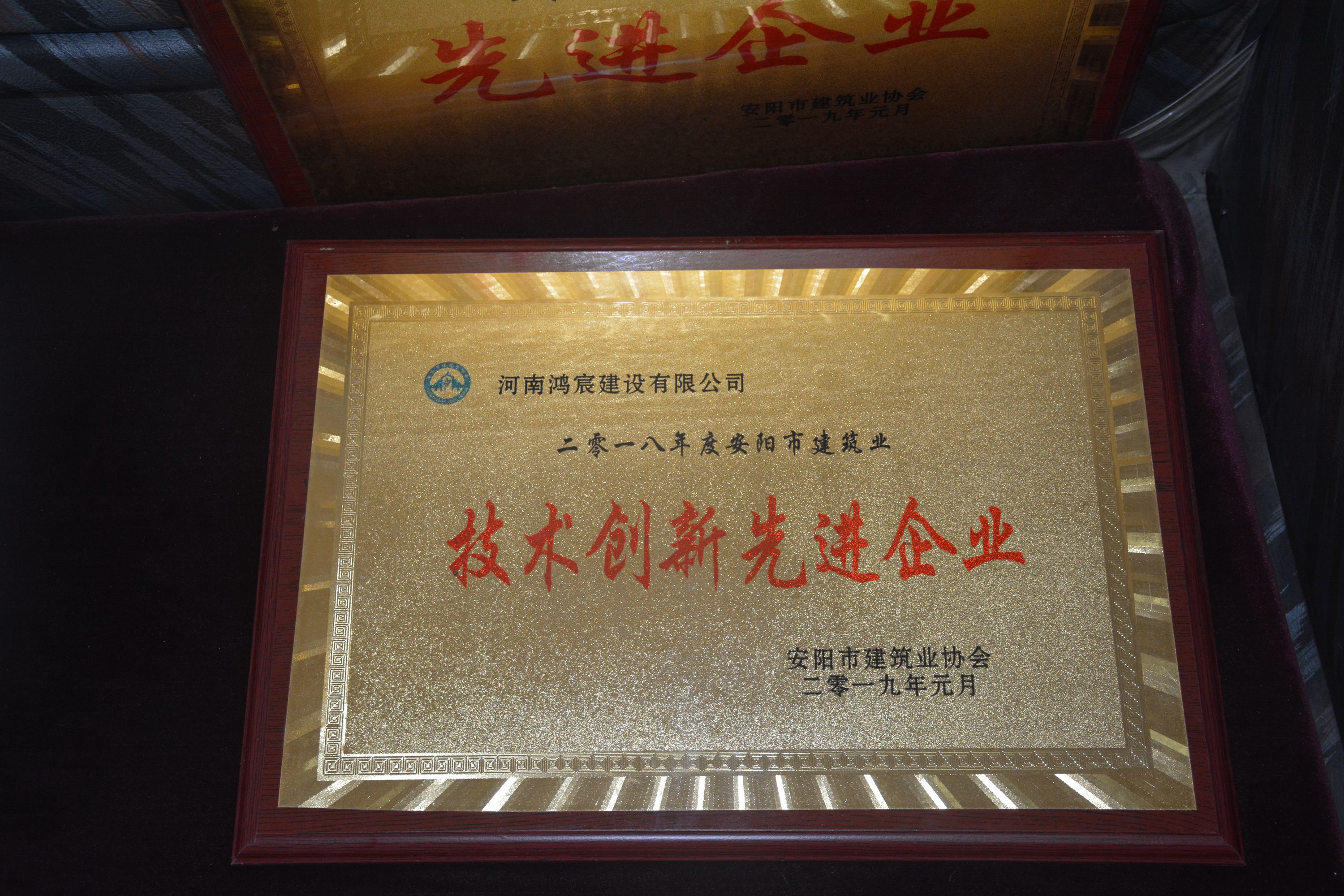 技术创新先进企业.JPG